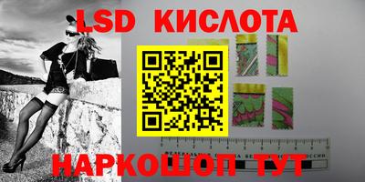твердый Новозыбков