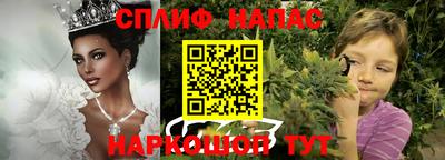 скорость Новокубанск