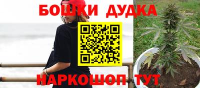 скорость Новодвинск