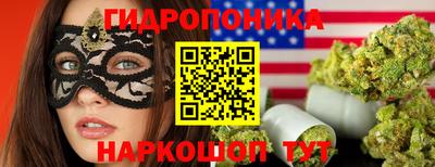 твердый Новозыбков