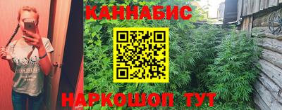 скорость Новодвинск
