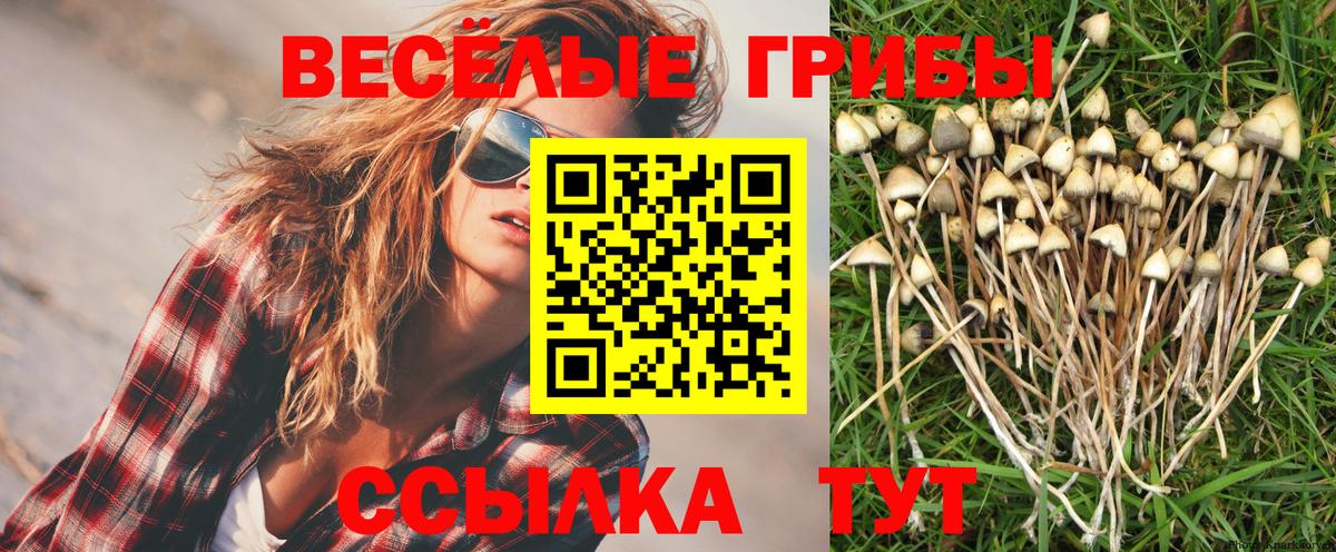 APVP Обь