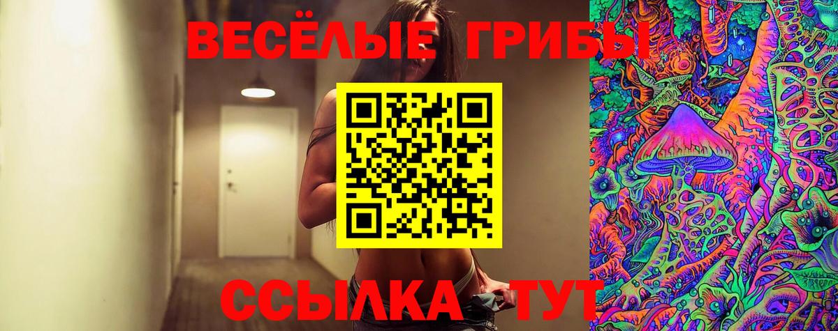 Псилоцибиновые грибы MAGIC MUSHROOMS Обь