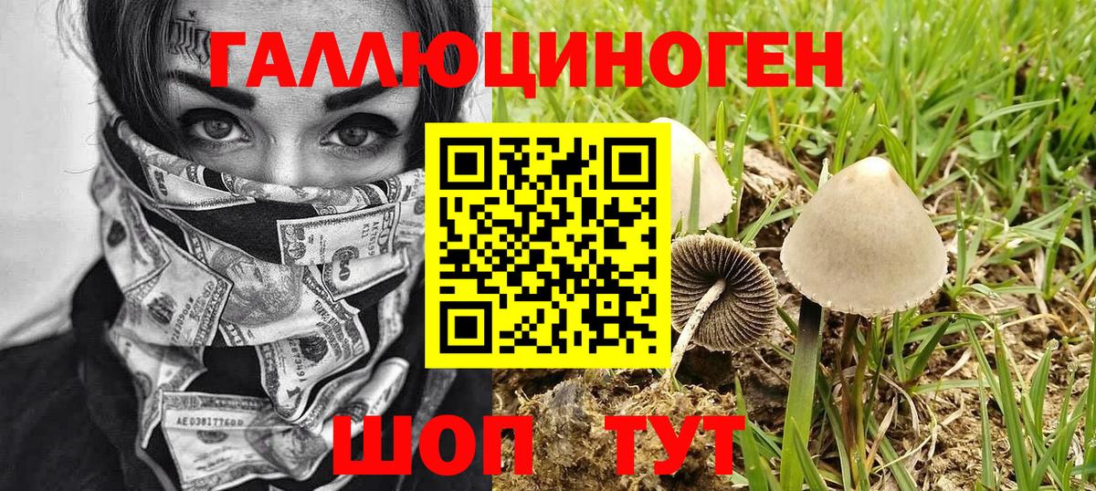 даркнет сайт  Псилоцибиновые грибы мицелий  Вход с VPN  Псилоцибиновые грибы GOLDEN TEACHER  Обь 